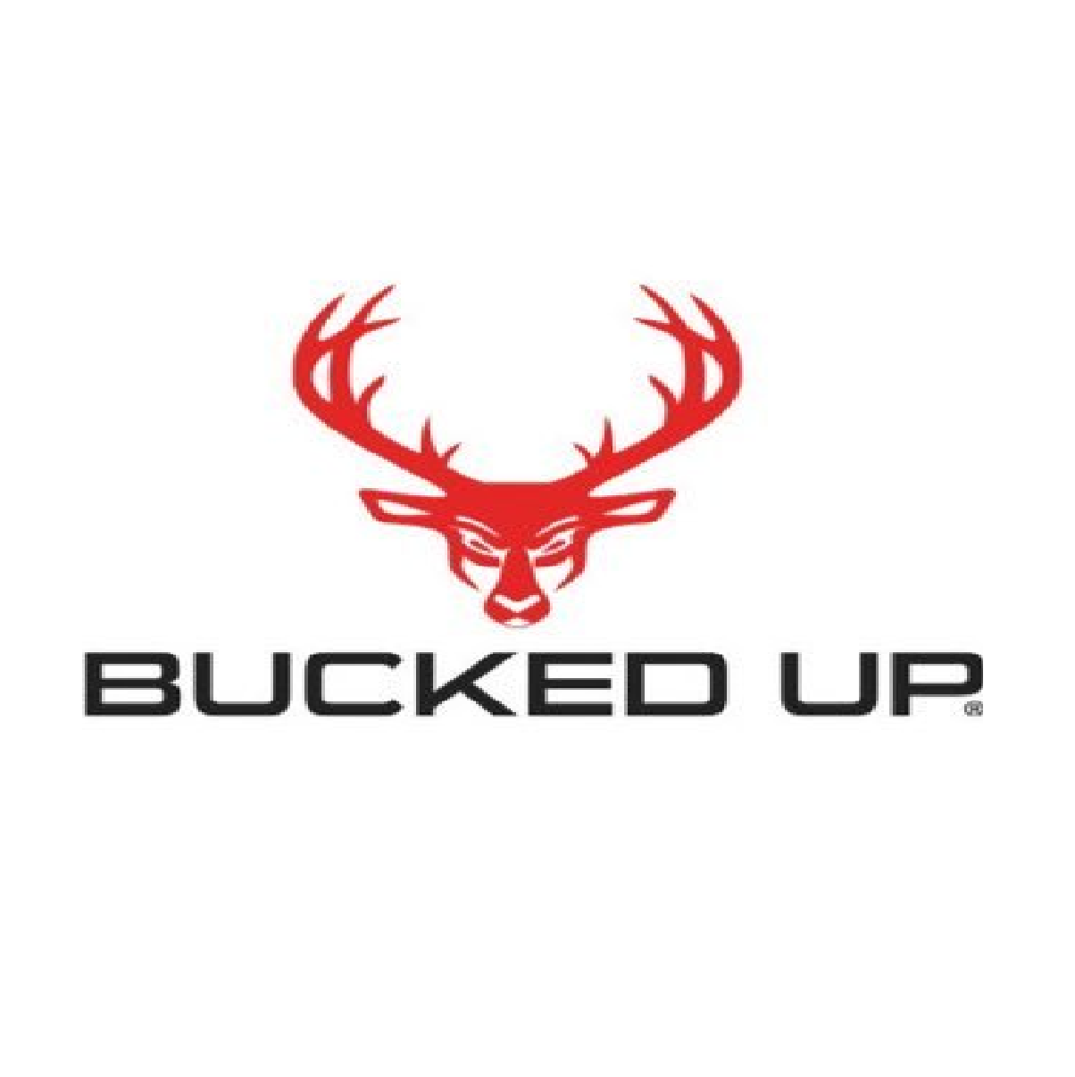 Bucked UP - оптом со склада
